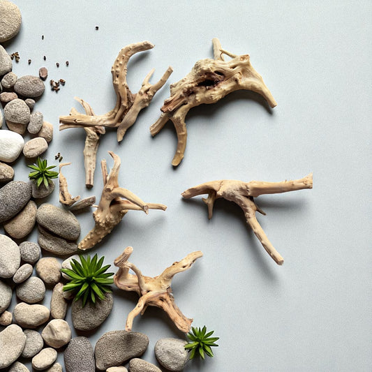 Natural Spiderwood Aquarium Decor: Unique Driftwood for Terrariums