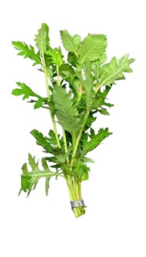 Water Wisteria – Fast-Growing, Easy Live Aquarium Plant (Hygrophila difformis)