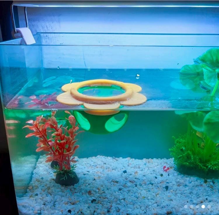 Floating Betta Hammock, Floating Hide & Floating feeding ring! Unique Flower Designed Aquarium Decor