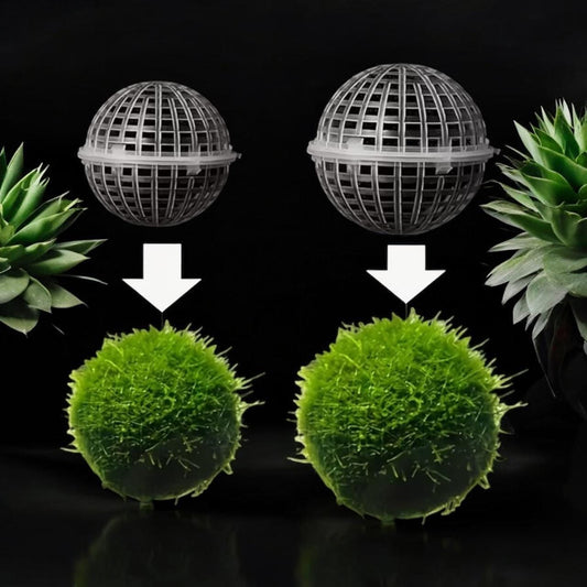 Moss Holder: Aquatic Landscape Decor - Floating Decor