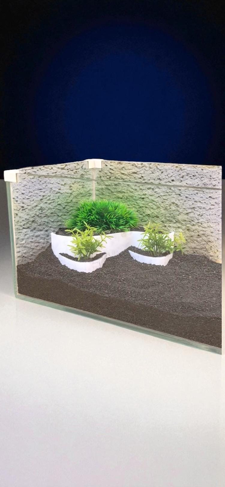 Aquarium Plant Holder: 3-Section Aquatic Decor