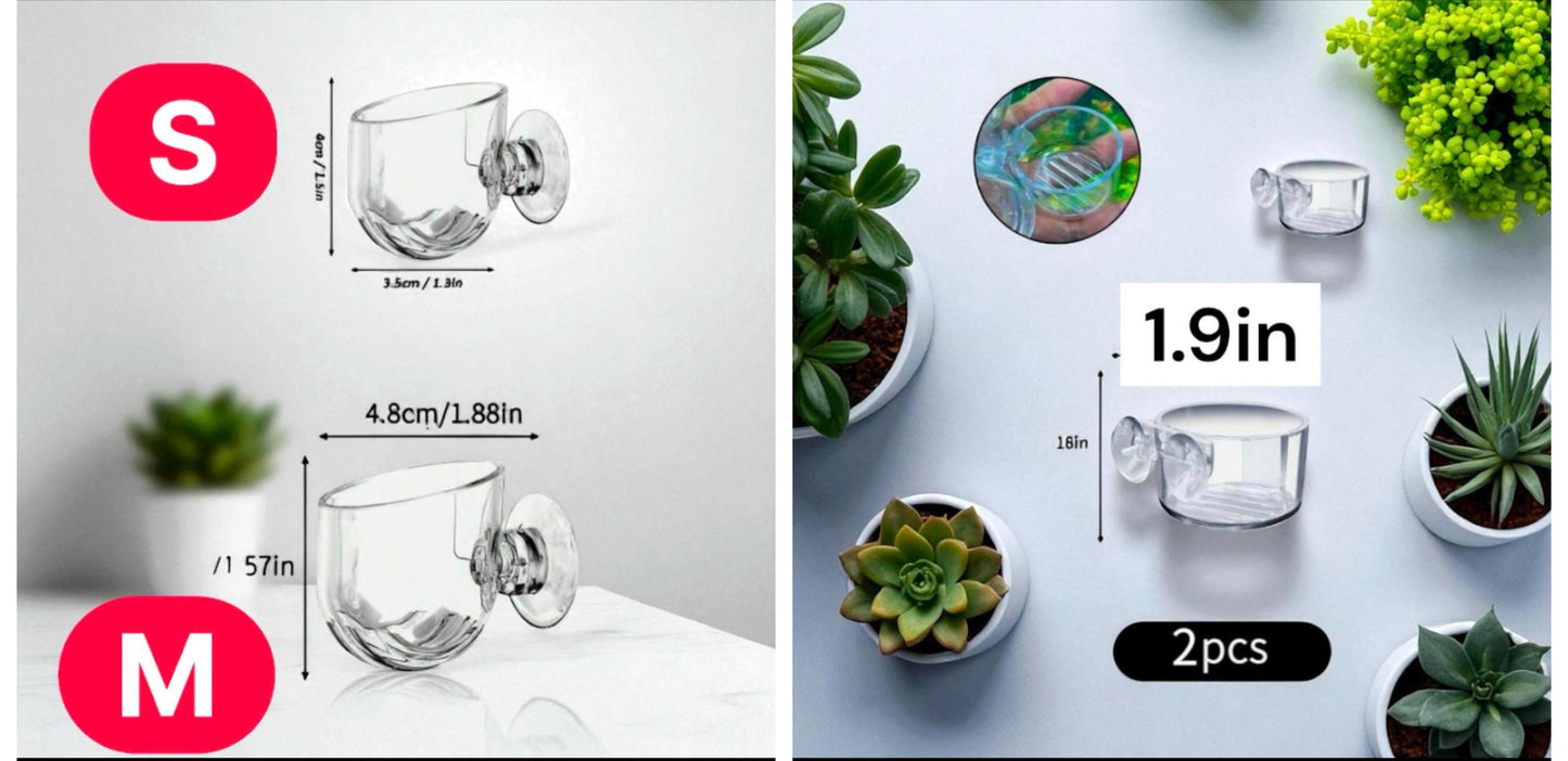 Aquarium Fish Feeder and Plant Holder with Suction Cup - 2pc Set