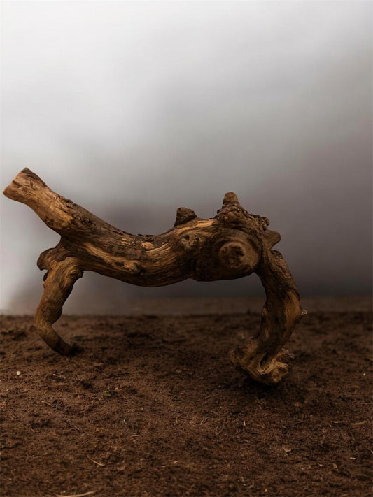 Monapai Natural Driftwood – Aquarium & Terrarium Decor (4-8 Inch)