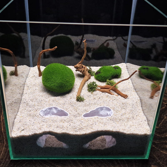 Natural Aquarium Cave Hide | Fish Shelter with Dual Tunnels | Nano Tank Decor, Terranium, Betta, Pleco Shrimp Hide, Aquascape Accessory