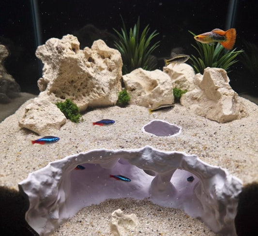 Underwater Lost City of Atlantis Cave - The Sunken Ruins | Aquarium Decoration - Shrimp, Fish Tank and Terranium Aquascape