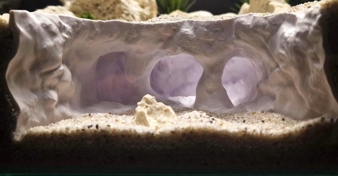 Underwater Lost City of Atlantis Cave - The Sunken Ruins | Aquarium Decoration - Shrimp, Fish Tank and Terranium Aquascape