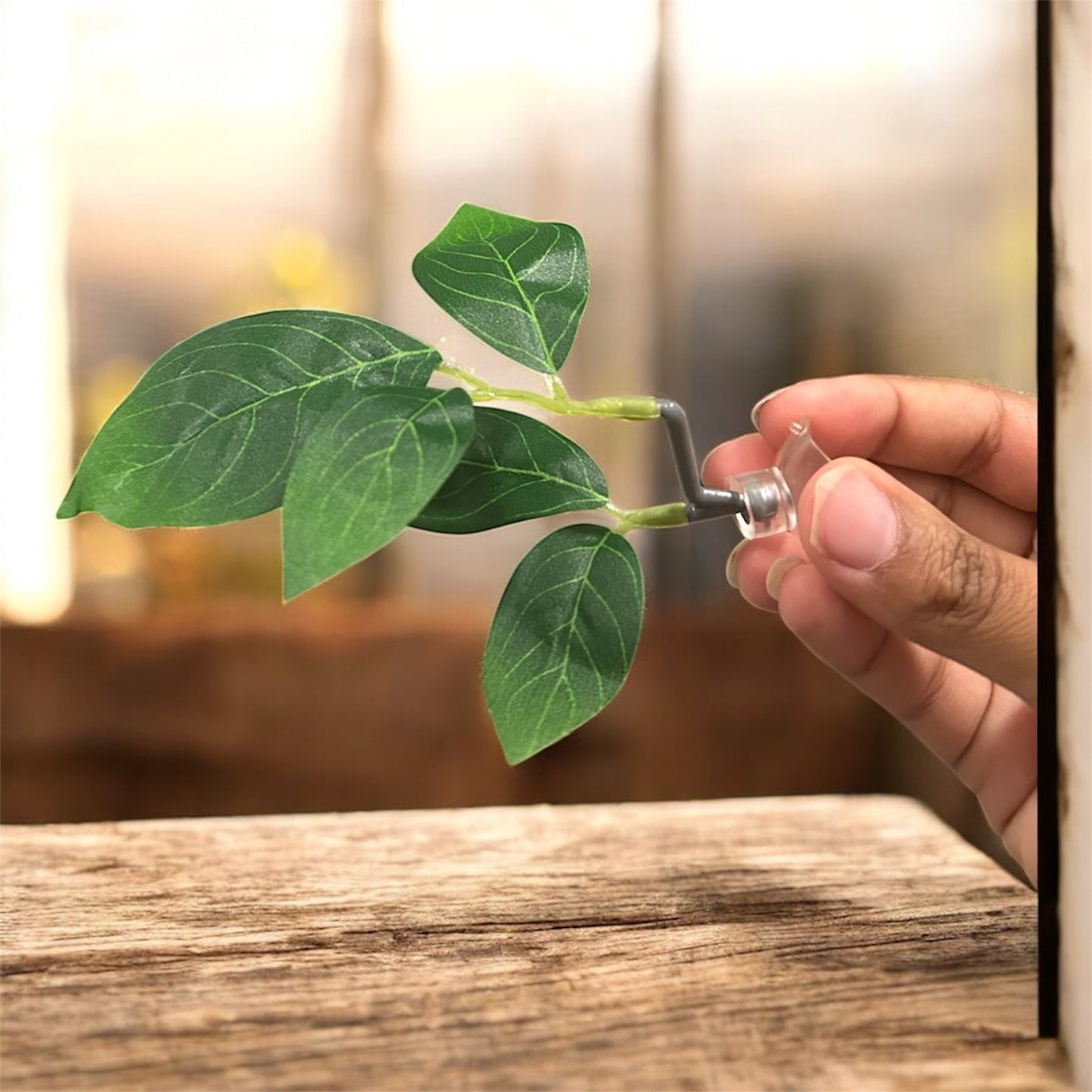 Betta Resting Leaf | Natural-Style Betta Fish Bed for Aquariums