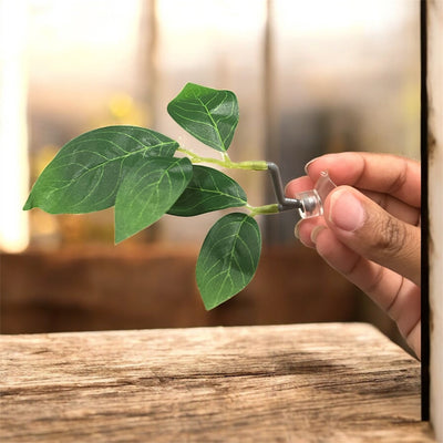 Betta Resting Leaf | Natural-Style Betta Fish Bed for Aquariums