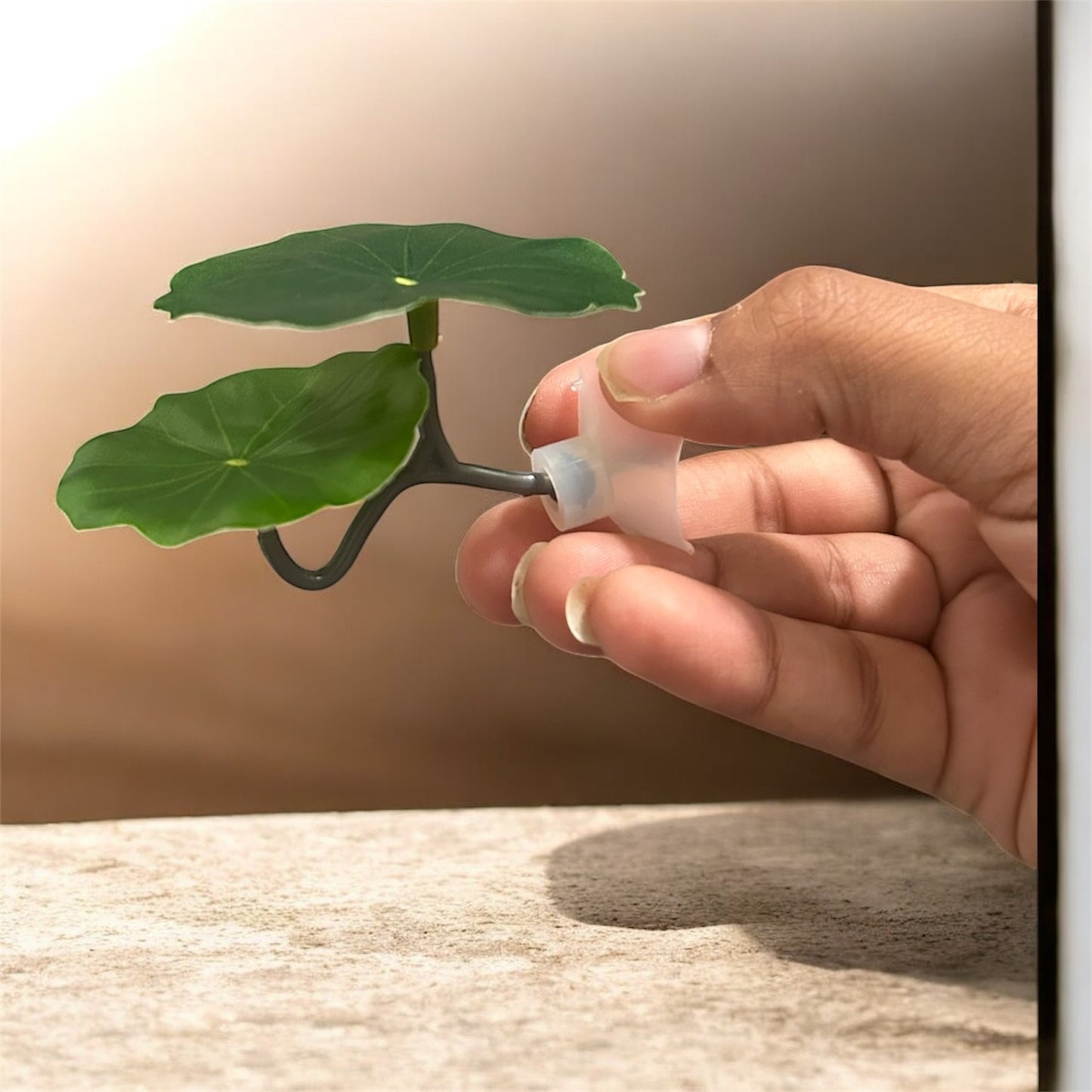 Betta Resting Leaf | Natural-Style Betta Fish Bed for Aquariums