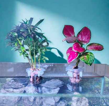 Small stem plant holder (set of 2)