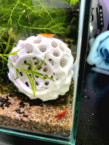 Hideout For Shrimp - Aquarium Decor - Dome Shaped Hide