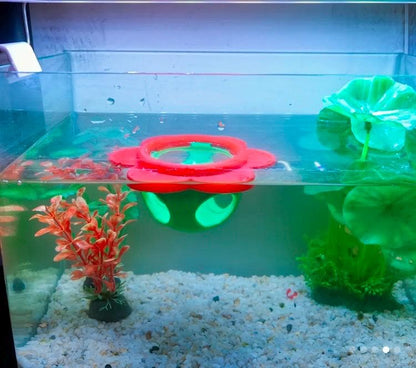 Floating Betta Hammock, Floating Hide & Floating feeding ring! Unique Flower Designed Aquarium Decor