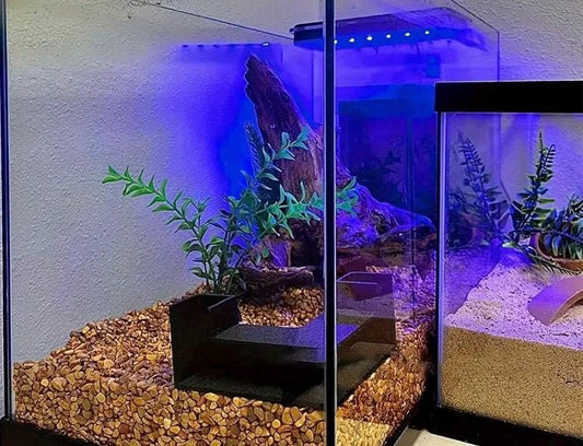 Aquarium Cave Hide - 360 viewing - Triangular Cave Design - Dual enterance fish and shrimp tunnel