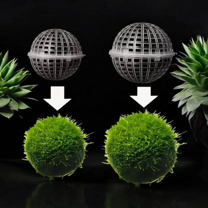 Moss Holder: Aquatic Landscape Decor - Floating Decor - 2 Piece Set