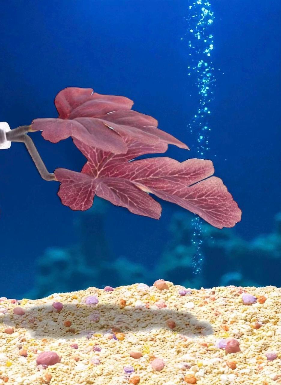 Silk Betta Resting Leaf: Aquarium Fish Bed Decor - Betta Bunk