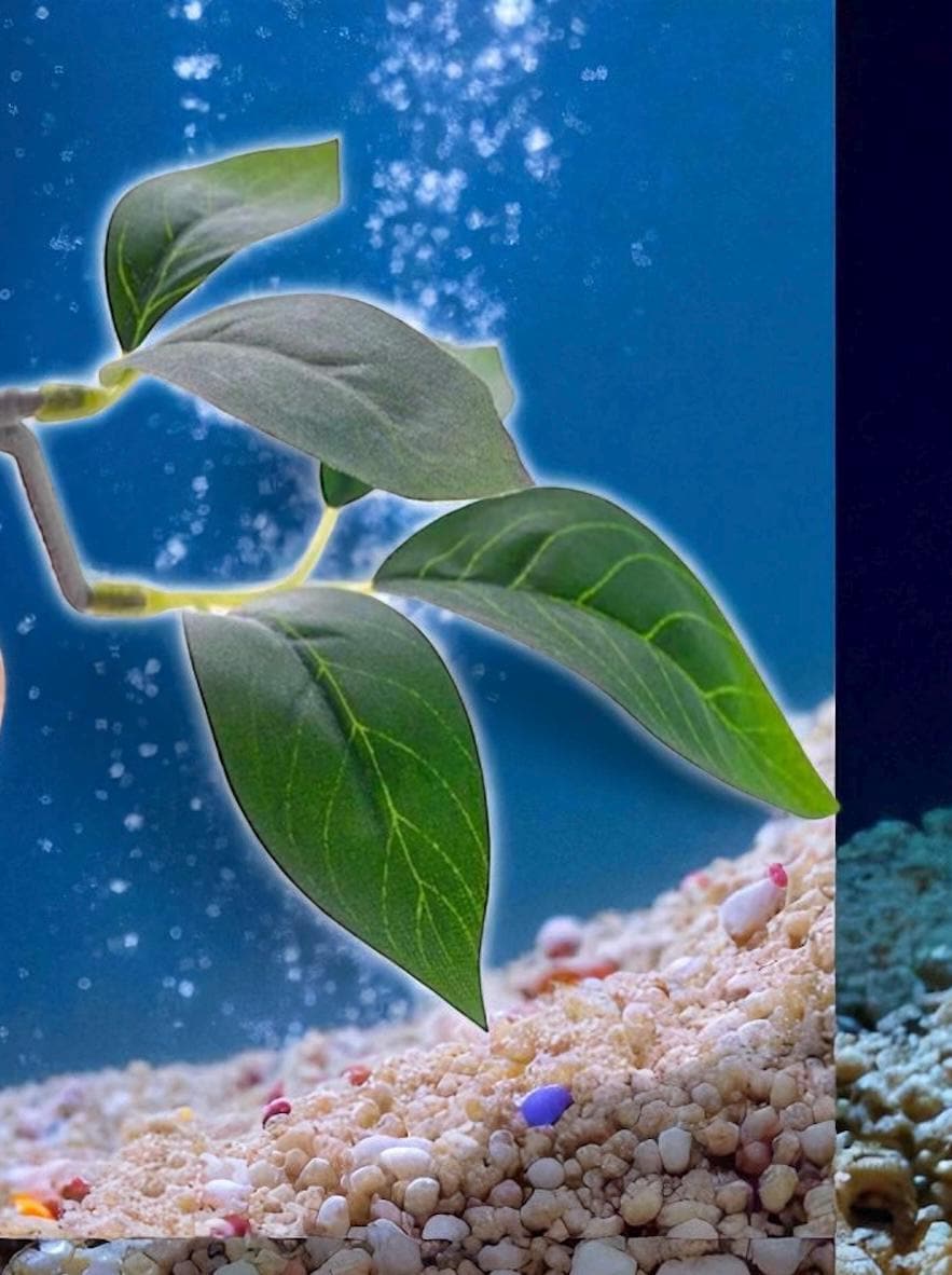 Silk Betta Resting Leaf: Aquarium Fish Bed Decor - Betta Bunk