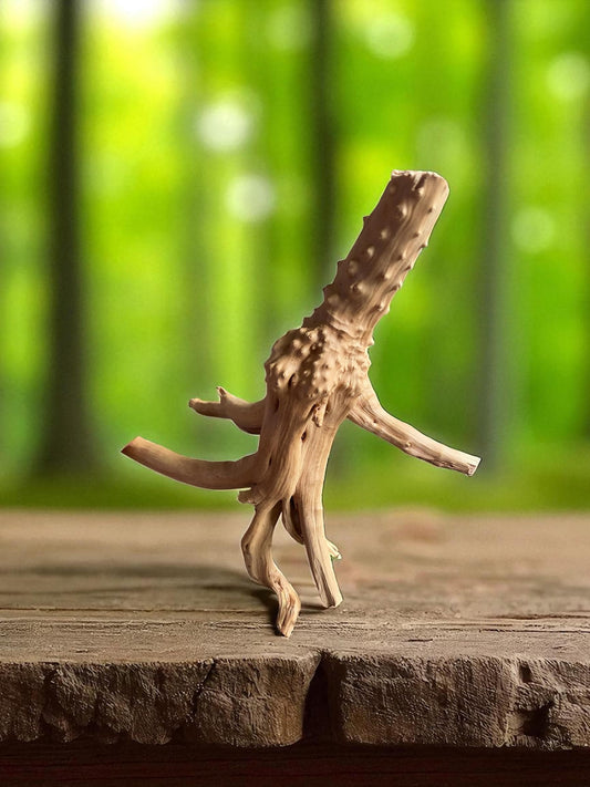 Natural Spiderwood Aquarium Decor: Unique Driftwood for Terrariums (4-7in)