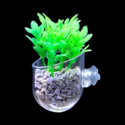 Aquarium Fish Feeder and Plant with Sucti Holder on Cup - 2pc Set