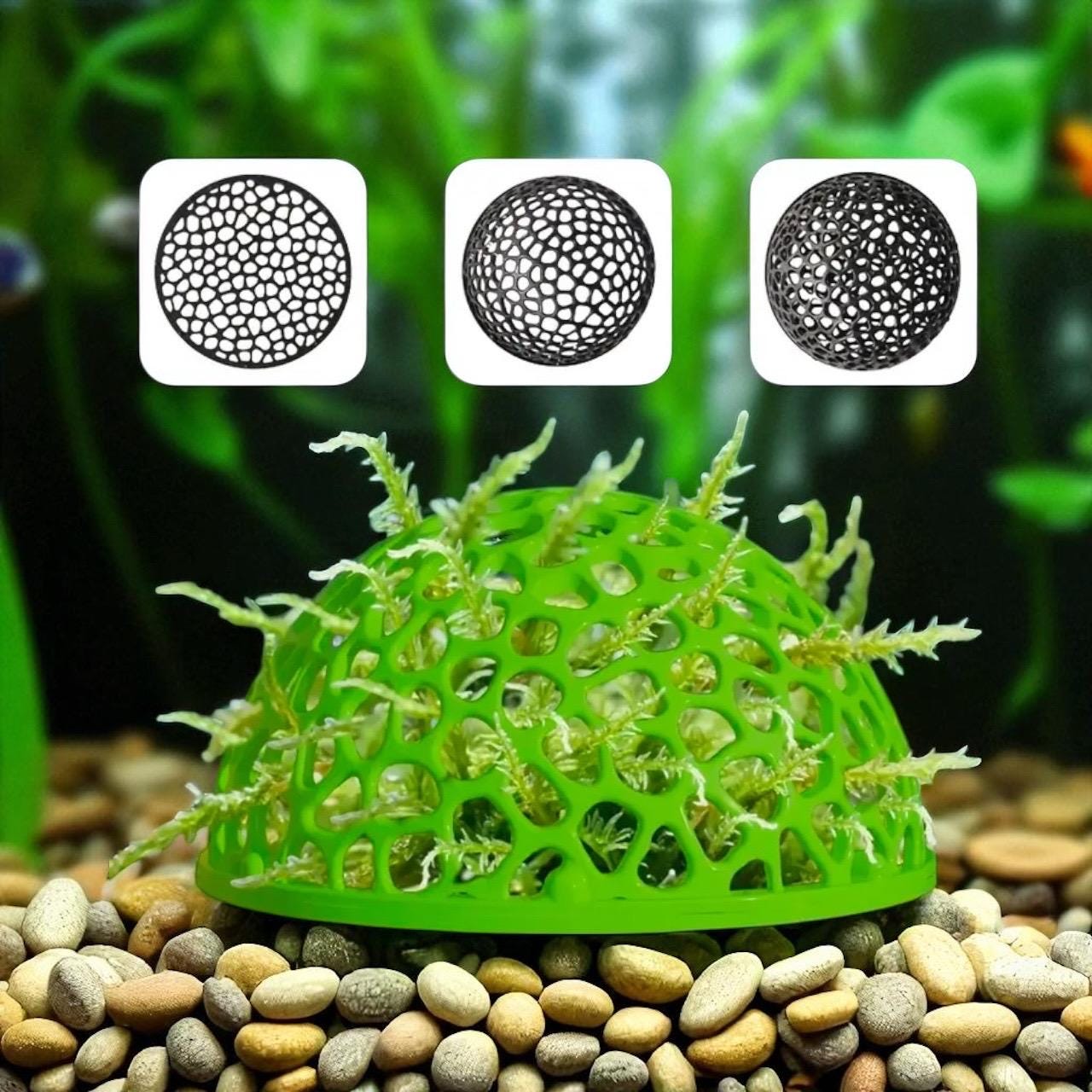 Shrimp Dome: Aquarium Hide for Fry and Adult shrimp - unique honeycomb design - Moss Holder