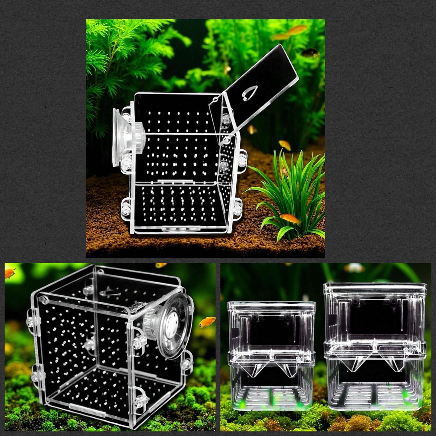 Aquarium Fish Breeder Boxes - Hatchery & Acclimation Container