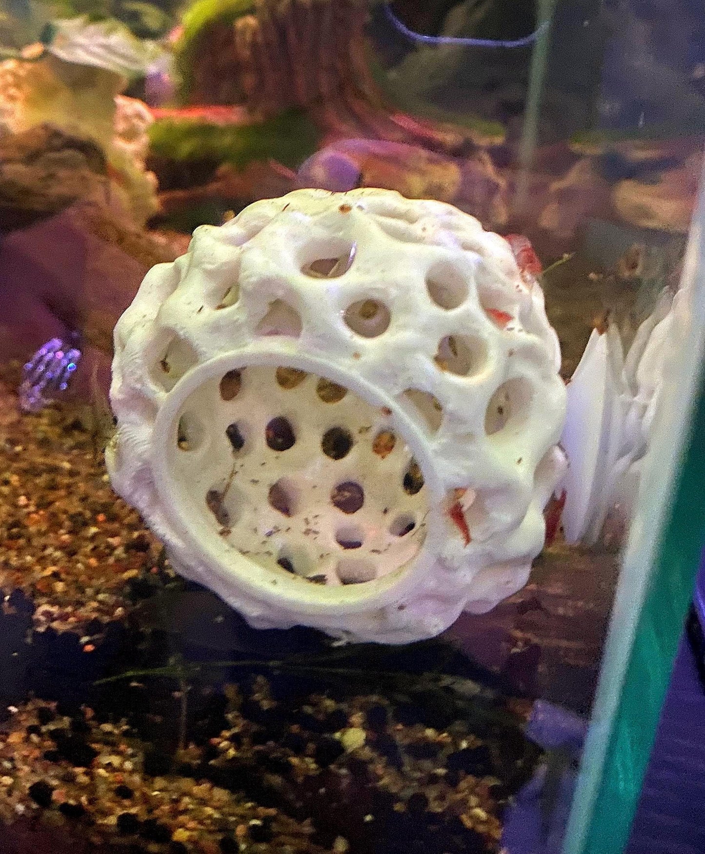 Hideout For Shrimp - Aquarium Decor - Dome Shaped Hide