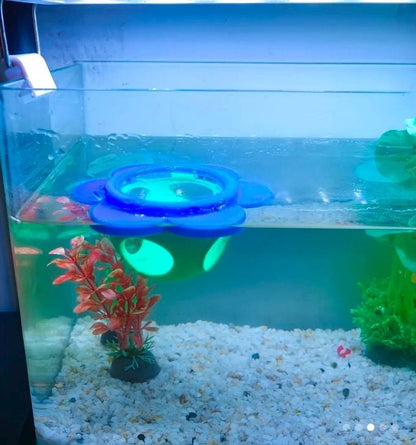Floating Betta Hammock, Floating Hide & Floating feeding ring! Unique Flower Designed Aquarium Decor