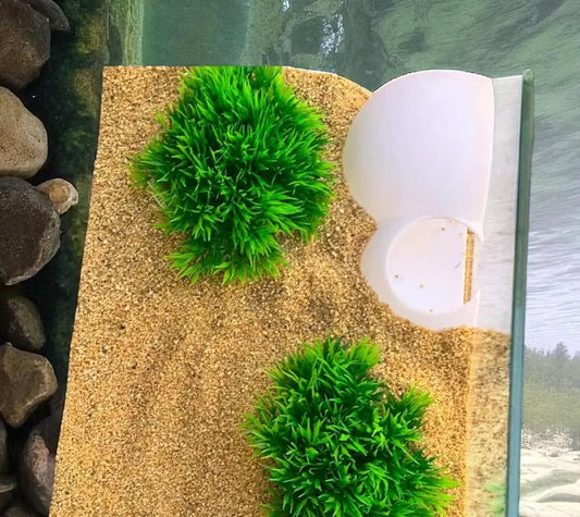 Safe haven for Fish & Shrimp - Aquarium Hideout - Cave design