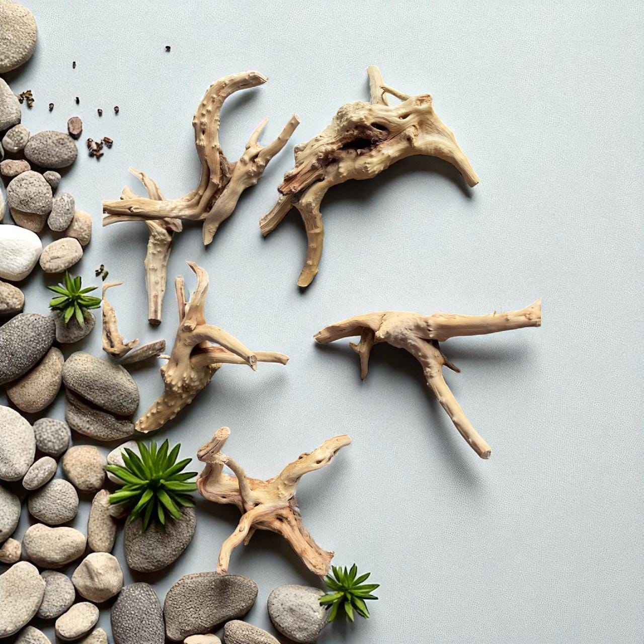 Natural Spiderwood Aquarium Decor: Unique Driftwood for Terrariums (4-7in)