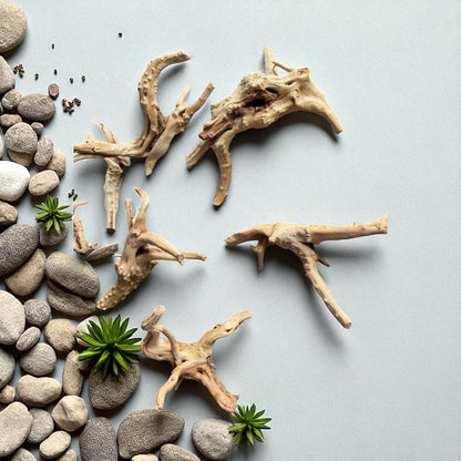 Natural Spiderwood Aquarium Decor: Unique Driftwood for Terrariums (4-7in)