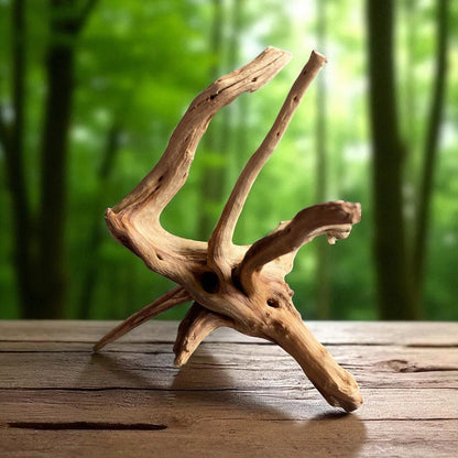 Natural Spiderwood Aquarium Decor: Unique Driftwood for Terrariums (4-7in)