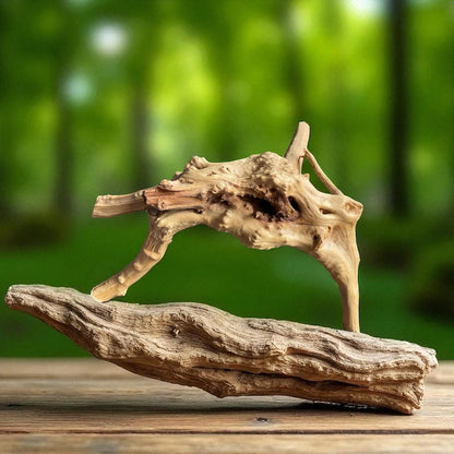 Natural Spiderwood Aquarium Decor: Unique Driftwood for Terrariums (4-7in)