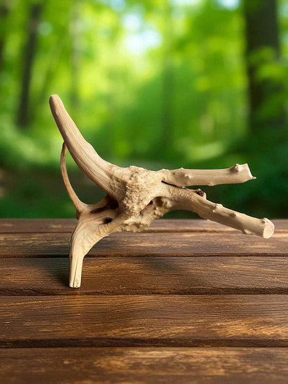 Natural Spiderwood Aquarium Decor: Unique Driftwood for Terrariums (4-7in)