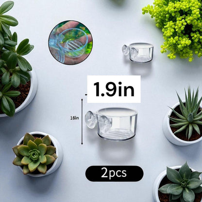 Aquarium Fish Feeder and Plant Holder with Suction Cup - 2pc Set