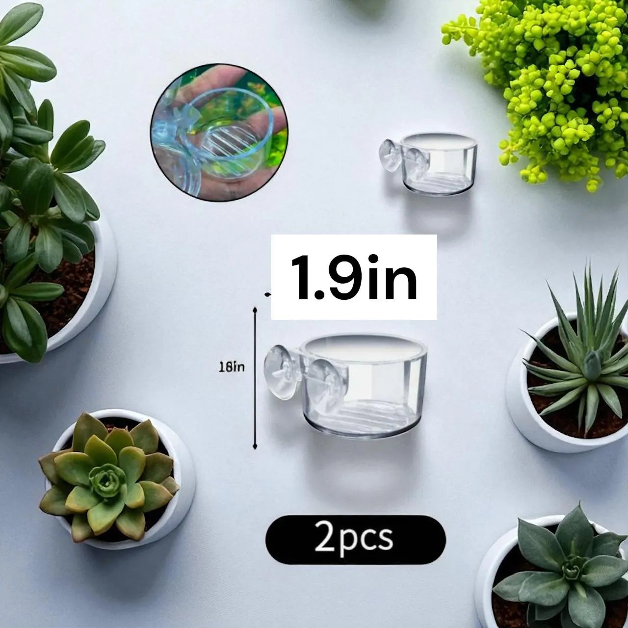 Aquarium Fish Feeder and Plant with Sucti Holder on Cup - 2pc Set