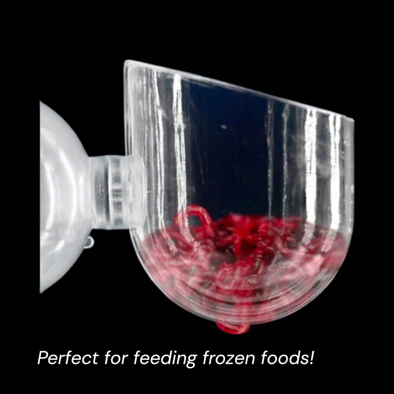 Aquarium Fish Feeder and Plant Holder with Suction Cup - 2pc Set