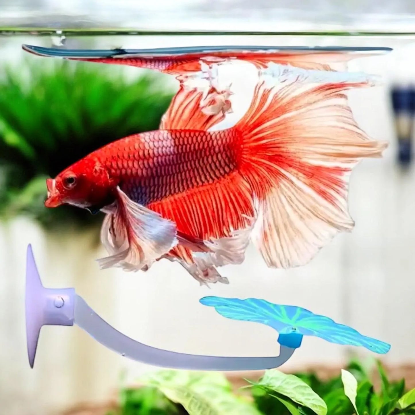 Betta Leaf Hammock - Fluorscent Glow