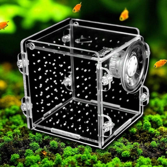 Aquarium Fish Breeder Boxes - Hatchery & Acclimation Container