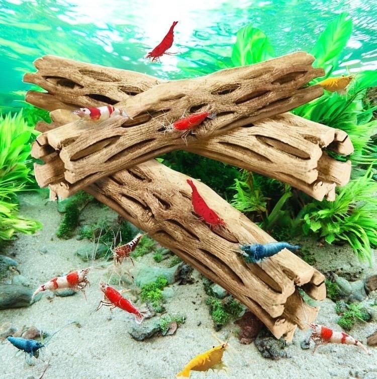Cholla Wood - Natural Aquarium Decor - Cactus Wood - Shrimp Shelter - 3" -“8 pieces