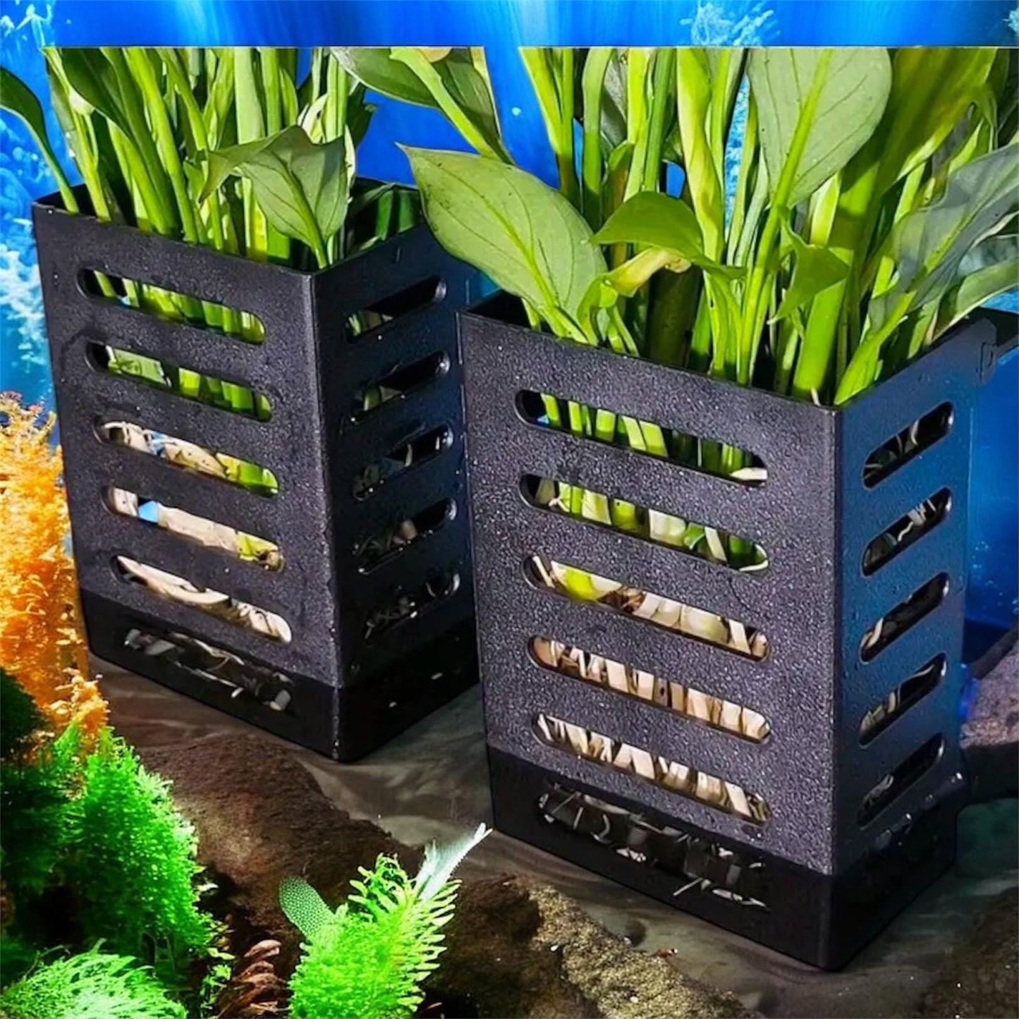 Aquarium Plant holder - Multi hook size options