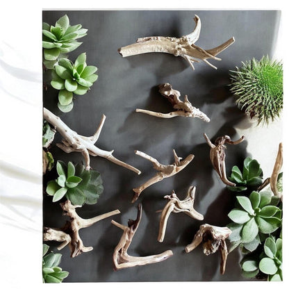 Natural Spiderwood Aquarium Decor: Unique Driftwood for Terrariums (4-7in)