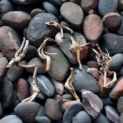 Natural Spiderwood Aquarium Decor: Unique Driftwood for Terrariums (4-7in)