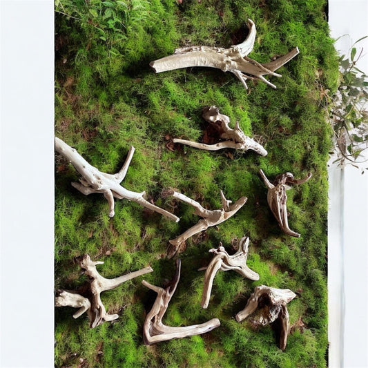 Natural Spiderwood Aquarium Decor: Unique Driftwood for Terrariums (4-7in)