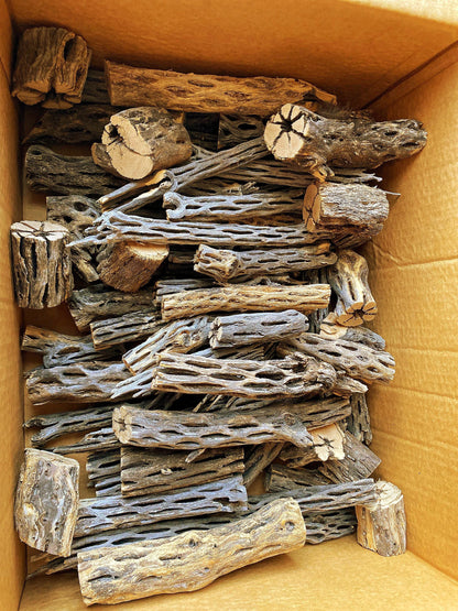 Cholla Wood - Natural Aquarium Decor - Cactus Wood - Shrimp Shelter - 3" -“8 pieces