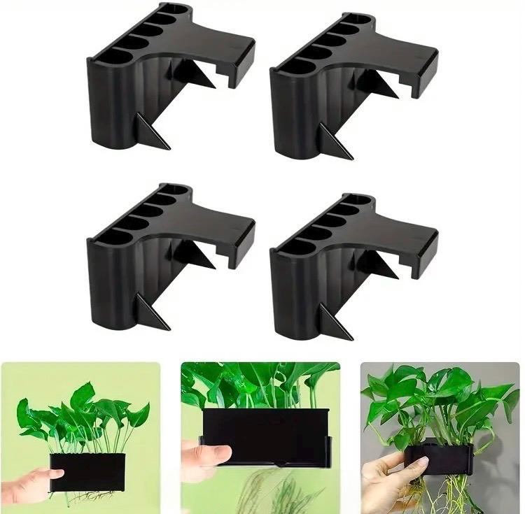 8 Straight Lucky Bamboo Stalk - 2 Pack Bundle - Live Aquarium Plant - Beginner Plant