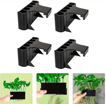 8 Straight Lucky Bamboo Stalk - 2 Pack Bundle - Live Aquarium Plant - Beginner Plant