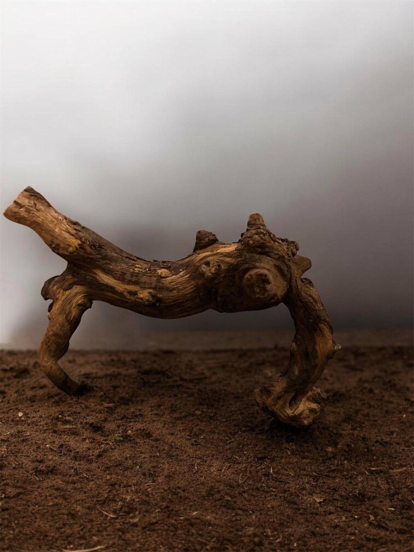 Monapai Natural Driftwood – Aquarium & Terrarium Decor (4-8 Inch)