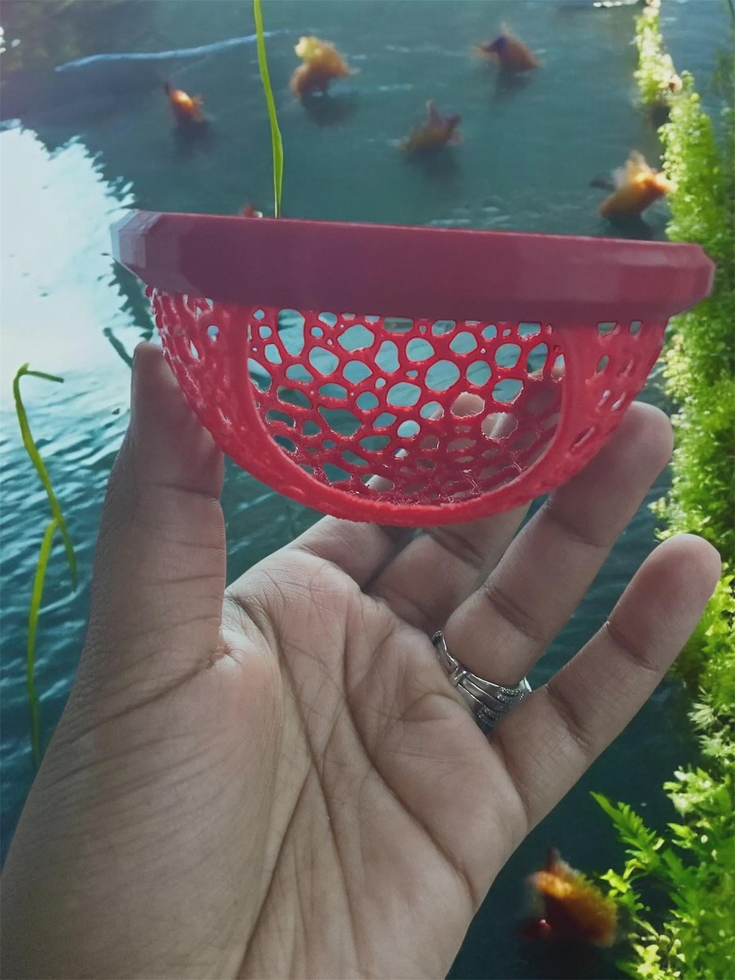 Floating Betta Fish bungalow Rest: Aquarium Decor - Betta Hammock