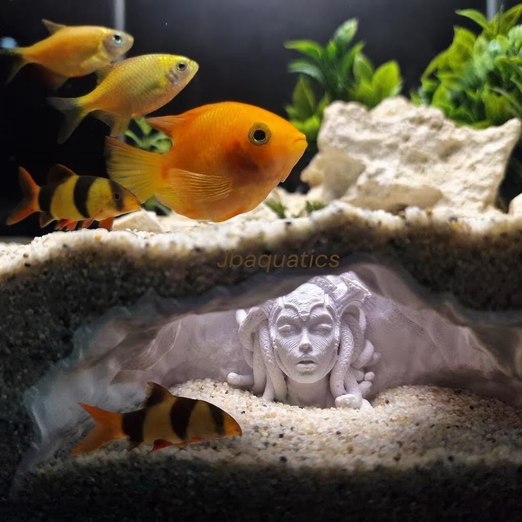 Medusa’s Lair Aquarium Hideout – Mythical Fish Cave Décor for Aquascapes & Terrariums - Underground Cave - The Catacombs