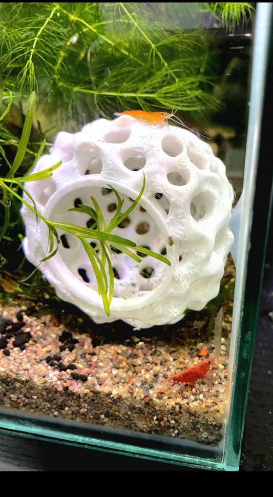 Shrimp Cave Sponge Hide | Neocaridina Shelter | Biofilm Growing Aquarium Cave | Nano Tank Shrimp Hideout - Breeding Cave