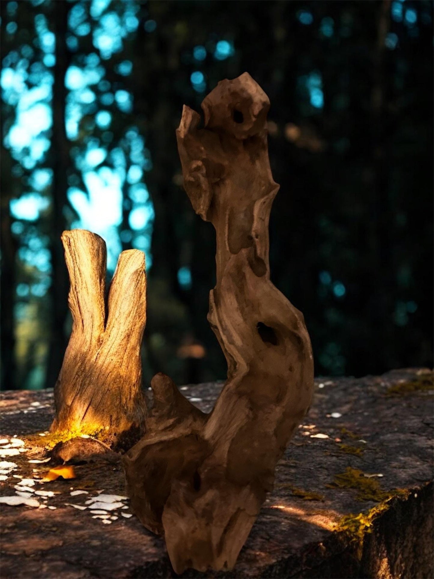 Monapai Natural Driftwood – Aquarium & Terrarium Decor (4-8 Inch)